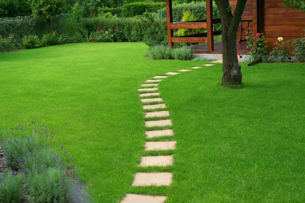 Intensywnie zielony, przycięty, zadbany trawnik przez który przechodzi ścieżka z płytek kamiennych. Ścieżka ma kształt fali i prowadzi do drewnianego domku. W tle zielone krzewy i kwiaty róż, lawendy