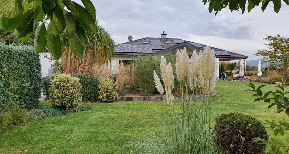 Piękny, nowoczesny ogród z kolekcją różnych odmian traw ozdobnych. W tle budynek mieszkalny